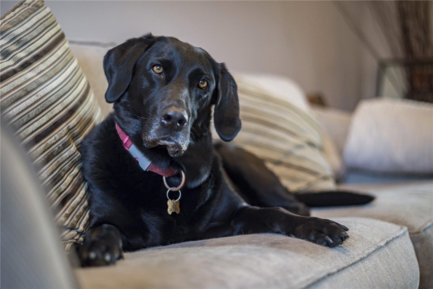 Images for Tiepigs Lane, Bromley