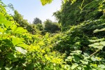 Images for Bourne Vale, Bromley