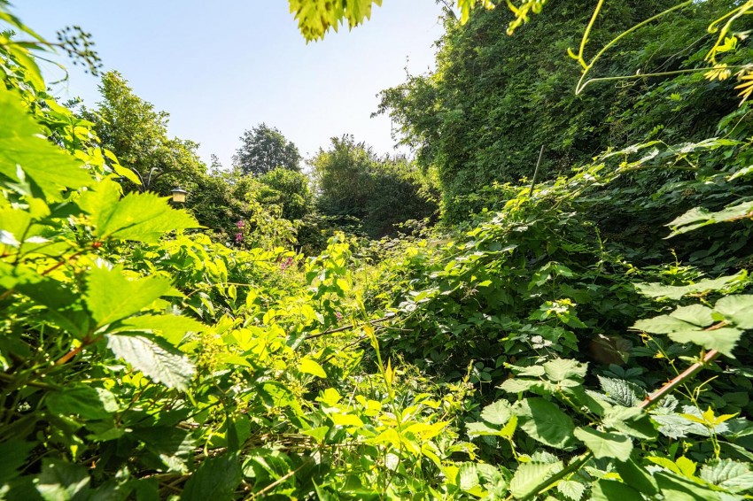 Images for Bourne Vale, Bromley