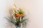 Images for Beckenham