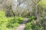 Images for West Wickham