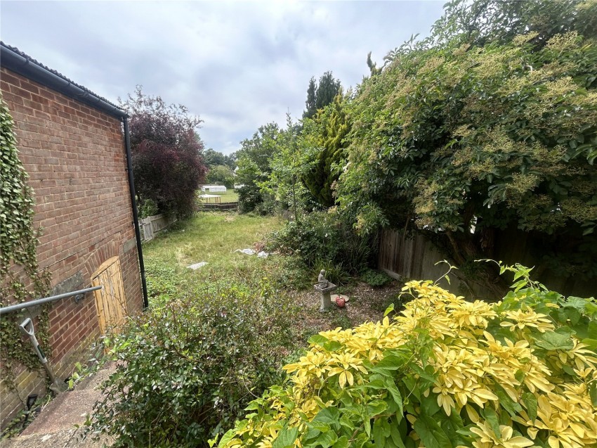 Images for Orpington