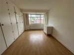 Images for Orpington