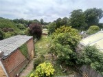 Images for Orpington