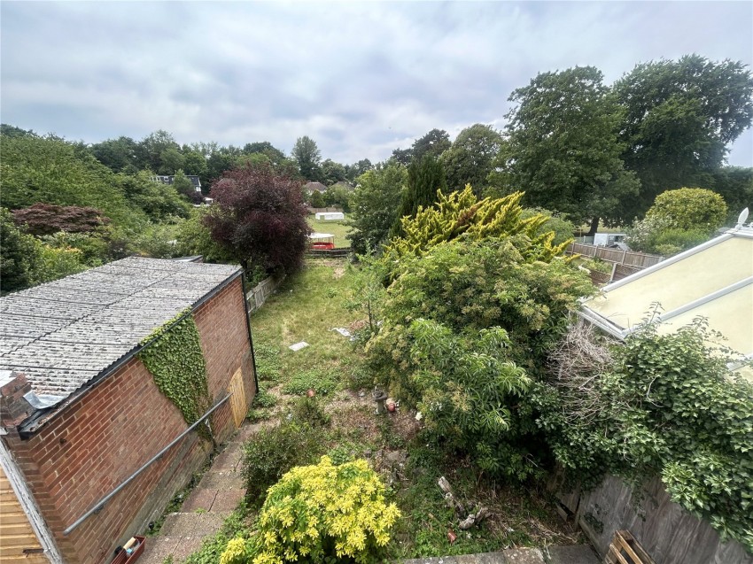 Images for Orpington
