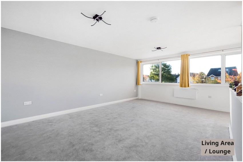 Images for Orpington