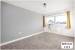 Images for Orpington