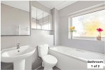 Images for Orpington