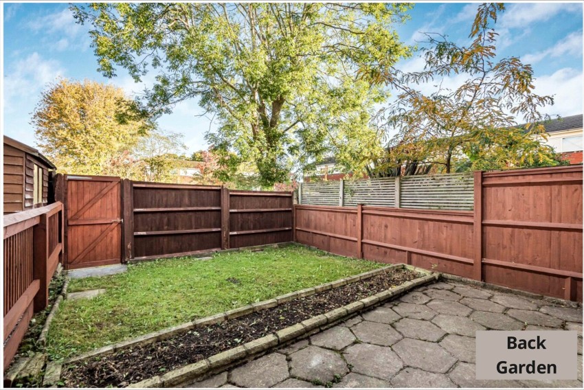 Images for Orpington