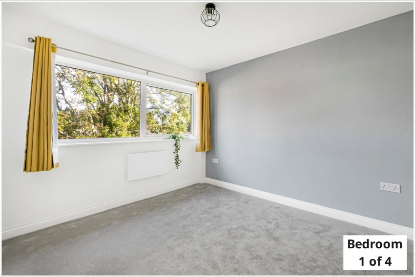 Images for Orpington