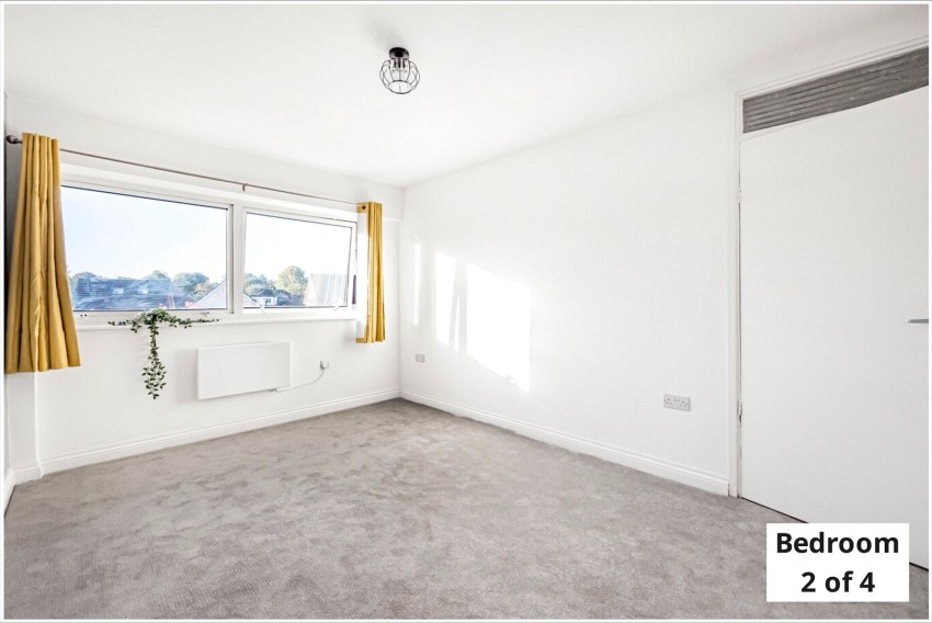 Images for Orpington