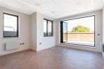Images for Orpington