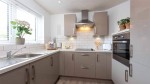Images for Orpington
