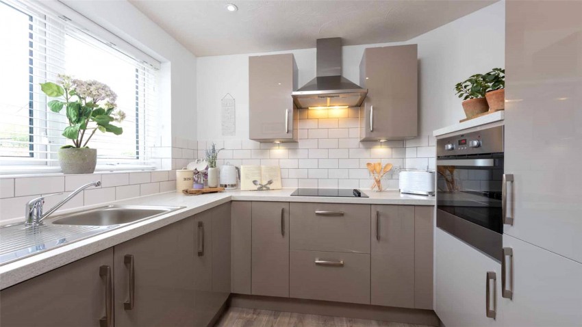 Images for Orpington