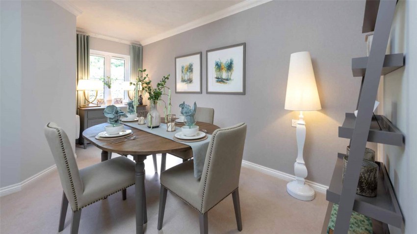 Images for Orpington