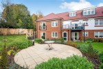 Images for Orpington