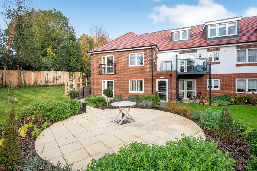 Images for Orpington