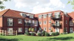 Images for Orpington