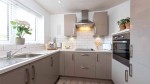 Images for Orpington