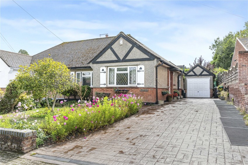 Images for Orpington