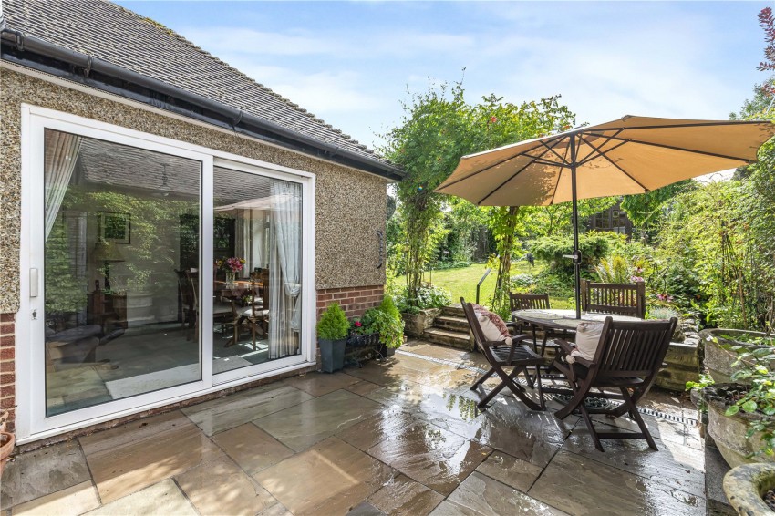 Images for Orpington
