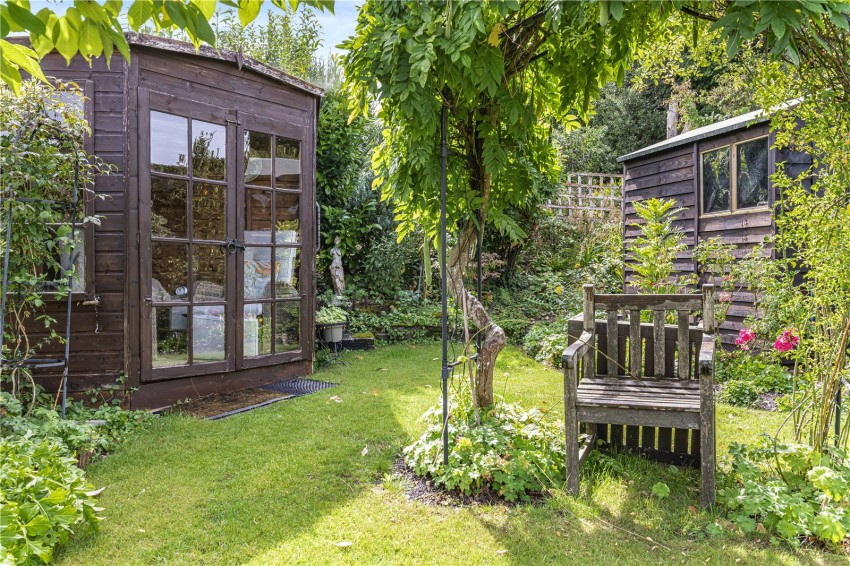 Images for Orpington