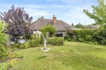 Images for Orpington