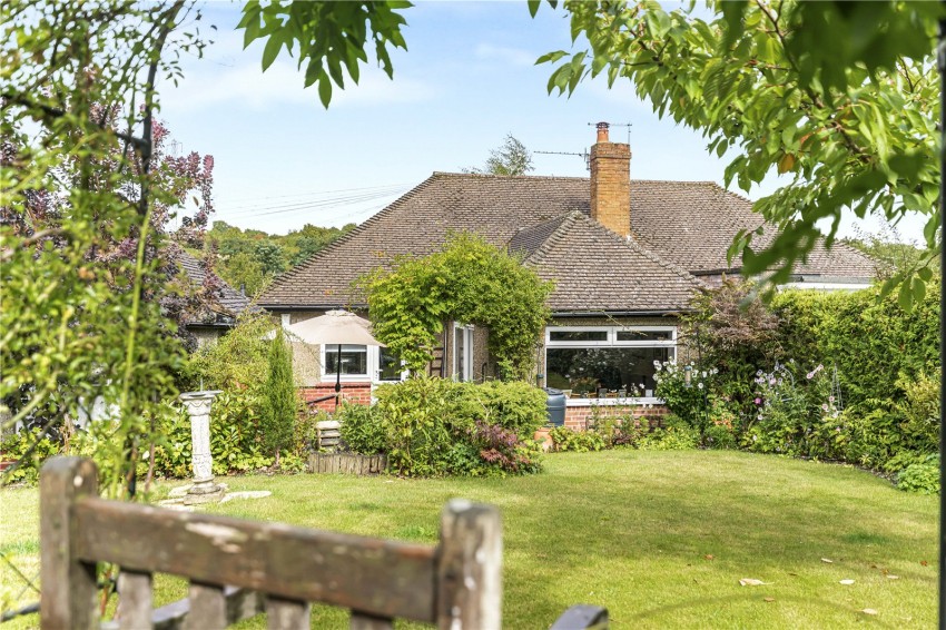 Images for Orpington