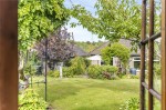 Images for Orpington