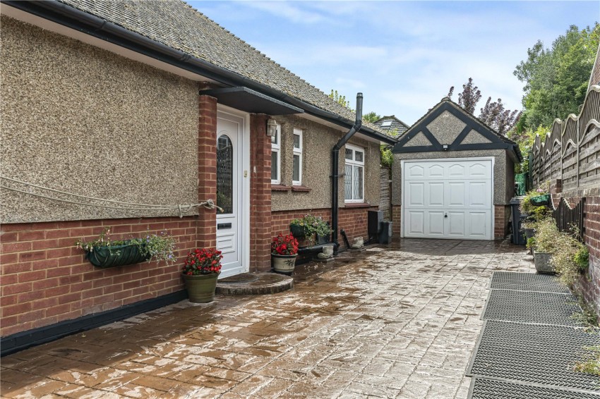Images for Orpington