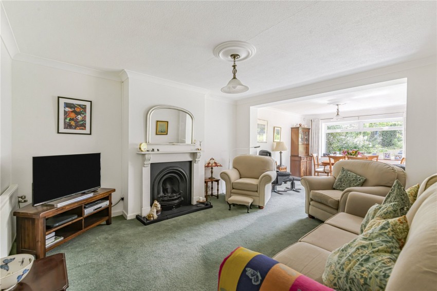 Images for Orpington