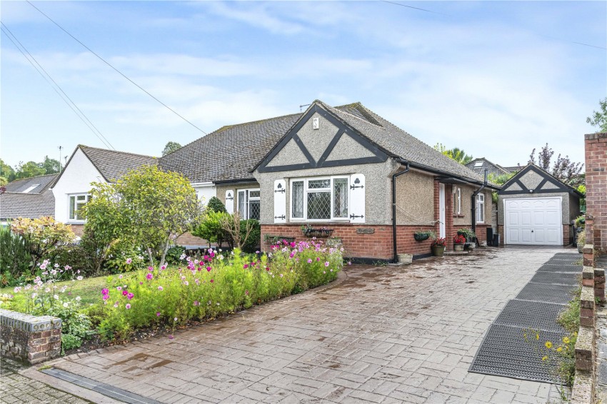 Images for Orpington