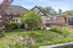 Images for Orpington