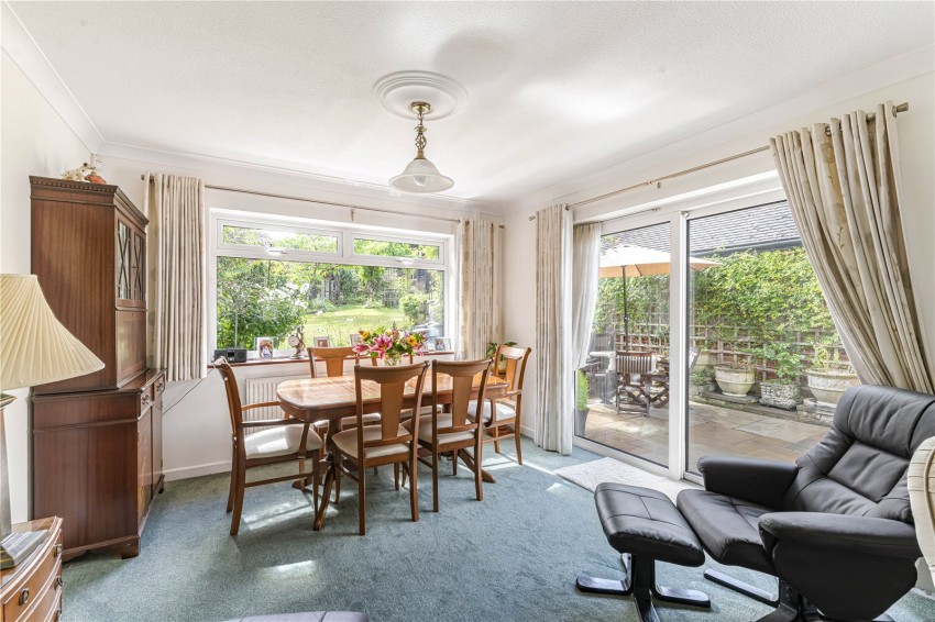 Images for Orpington