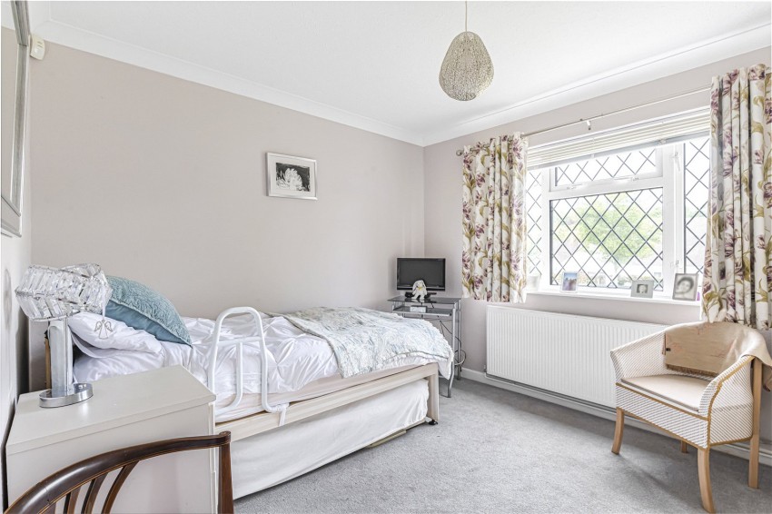 Images for Orpington