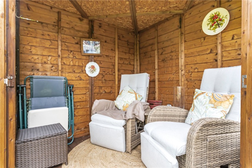 Images for Orpington