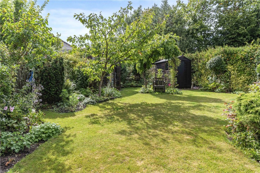 Images for Orpington