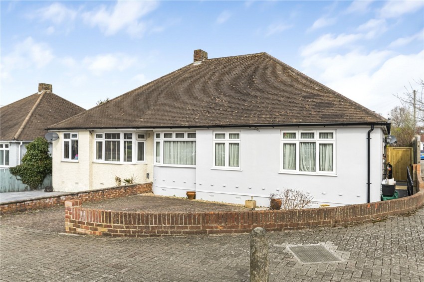 Images for Orpington