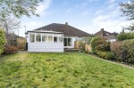 Images for Orpington