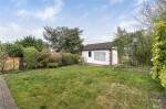 Images for Orpington