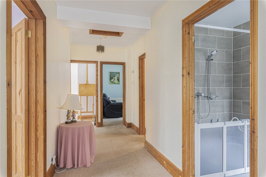 Images for Orpington