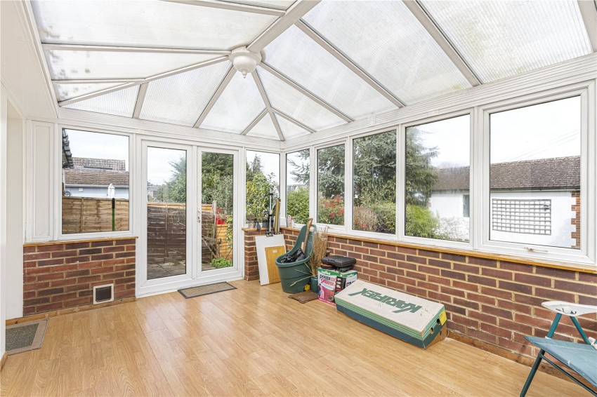 Images for Orpington