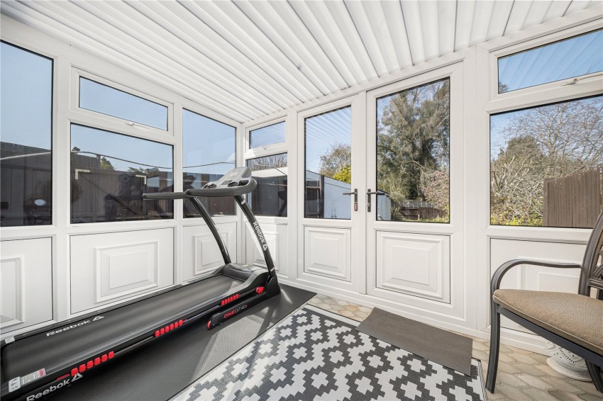 Images for Orpington