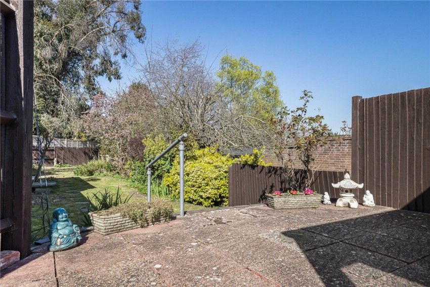 Images for Orpington