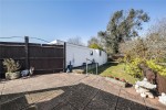 Images for Orpington