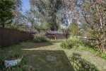 Images for Orpington
