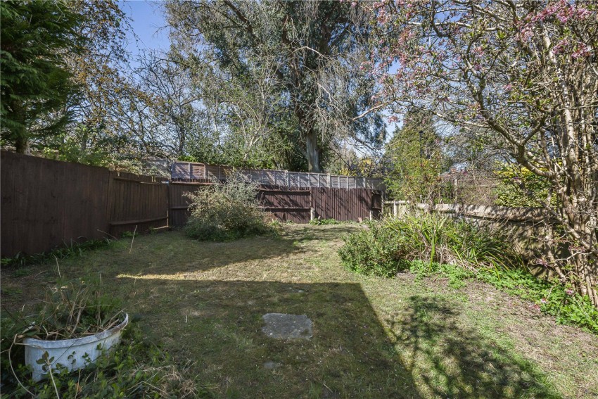 Images for Orpington