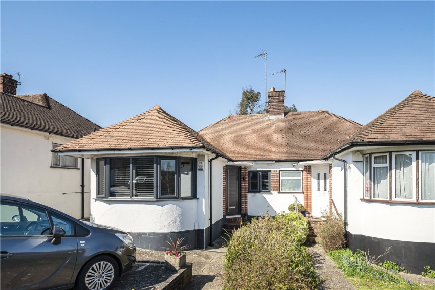 Images for Orpington