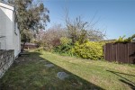 Images for Orpington