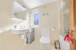 Images for Orpington